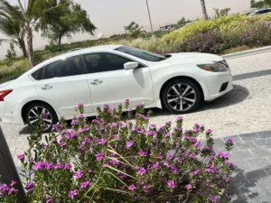 Used Nissan Altima in Muscat