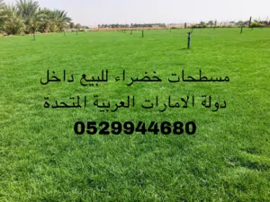 مسطحات خضراء للبيع داخل دولة الإمارات
