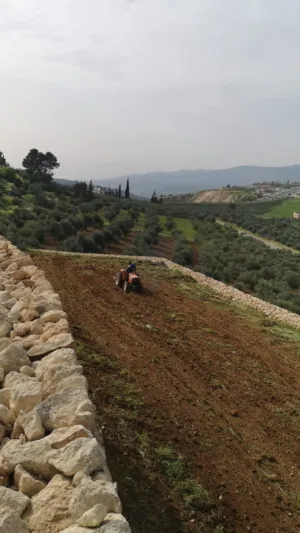 Mixed Use Land for Sale in Jerash Tal Al-Rumman