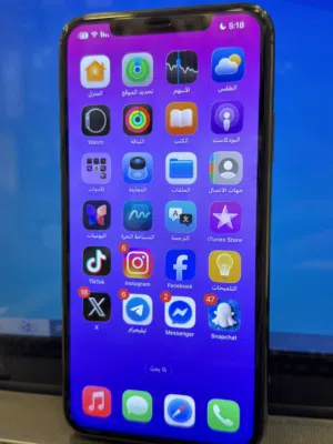 Apple iPhone 11 Pro Max 256 GB in Baghdad