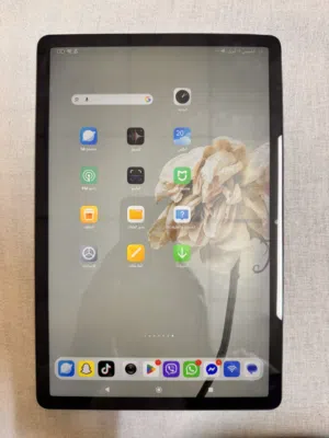 Apple iPad 256 GB in Erbil