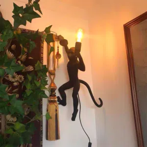 براكيت قرد اسود ديكوري