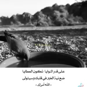 ابو مصعب حجازي