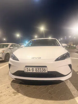 بي واي دي 2025