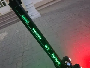winnersky Electric scooter