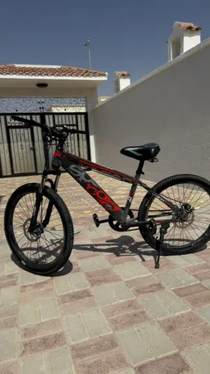 Everything is goodwill for