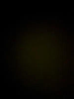 خنجر زراف أفريقي ضخم خنجر بيض وجة