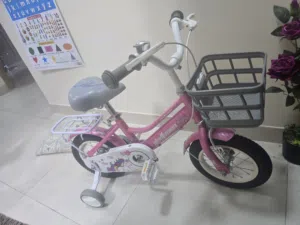 Girls Bicycle