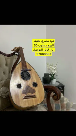 عود مصري نظيف