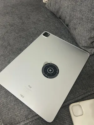 Apple . iPad pro 5 . 256 GB2