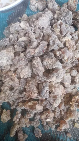 ‏اخرى ‏.‏ جديد‏3