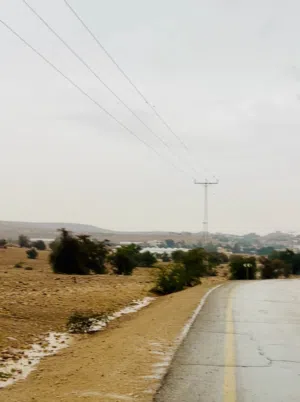 Residential Land for Sale in Jericho Al-Auja