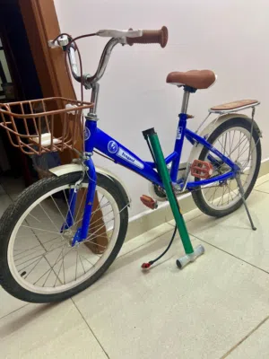 Girls Bicycle