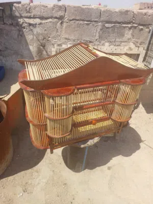 قفصل بالبول حجم كبير