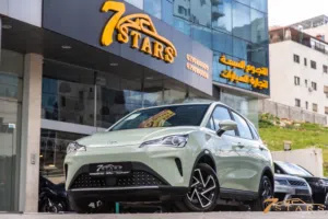 2023 NETA AYA – Full Electric - Zero