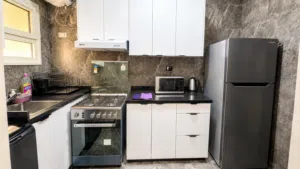 Furnished Monthly in Cairo Fifth Settlement