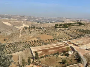 Farm Land for Sale in Amman Badr Jdedeh