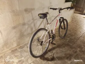 بسكليت امريكي