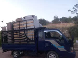 بكم نقل بأسعار مناسبه