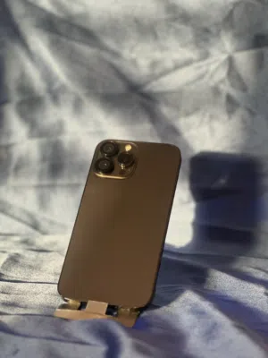 iPhone 13 pro max  الوصف
