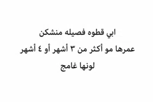 الي عنده يتواصل معاي