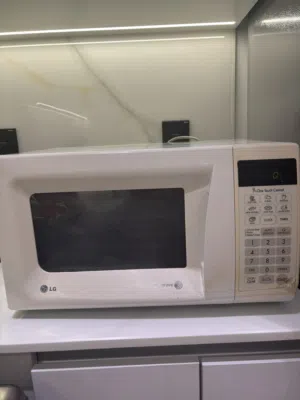 Microwave LG