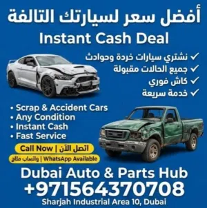 Junk Cars - Other Vehicles1