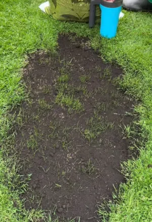 مسك لصيانة الحدائق  misk for garden