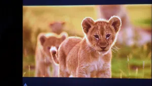 Apple iPad 2 256 GB in Jenin