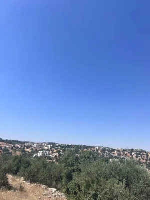 Residential Land for Sale in Amman Badr Jdedeh