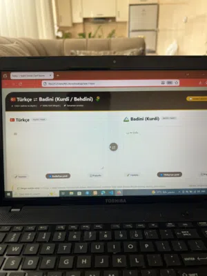 Advanced Turkish to Badini Translation Website