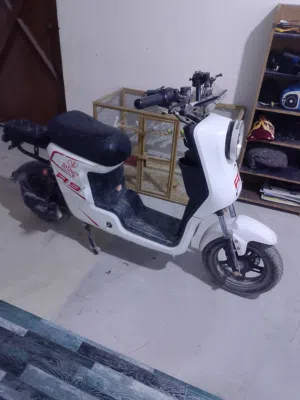 دراجة شحن للبيع