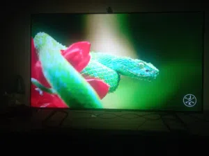 شاشه TLC سمارت 50 بوصه استعمال بسيط جداً للبيع