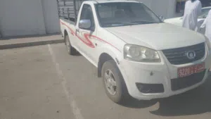 Used Great Wall Other in Muscat