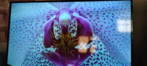 شاشه كليفر 55 سمارت