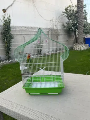 قفص نظيف للبيع