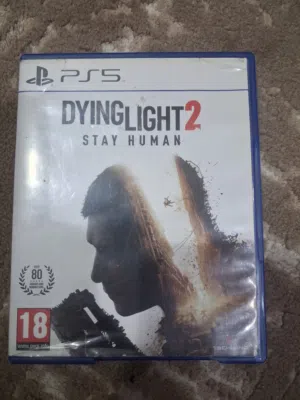 DYING LIGHR 2
