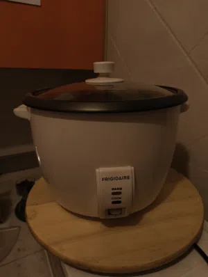 electric cooker