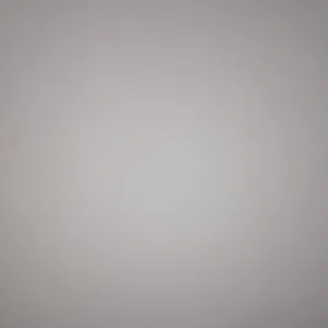 رجاء زروق