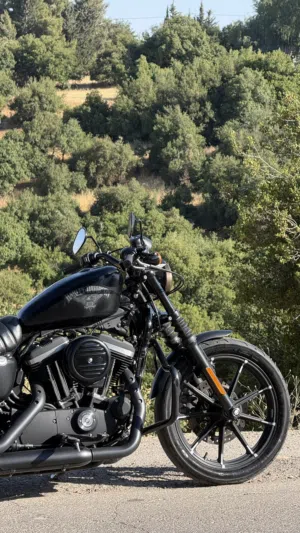 للبيع دراجة هارلي ديفيدسون iron 883 sportster