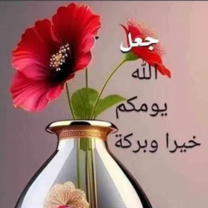 الحمد لله وكفى 