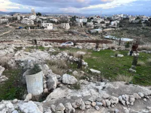 Farm Land for Sale in Ramallah and Al-Bireh Other