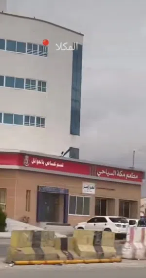 زيد العلوي