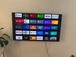 Sony Bravia 49 inch Smart TV (Display Damage)