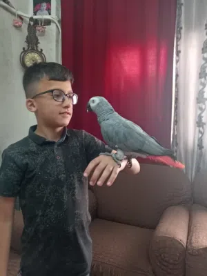 كاسكو متكلم بحكي أكثر من خمسين كلمه