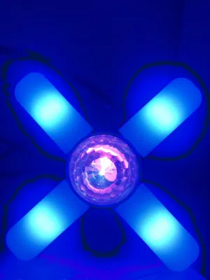 Ceiling LED LAMP with SPEAKER