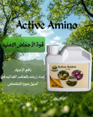 Active Amino