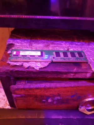 1111111111