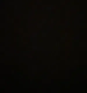 MS 