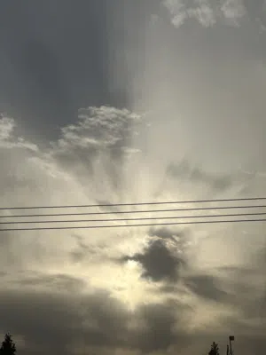 محل اللبيع خلو رجل